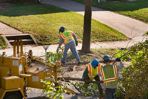 Best Lawn Watering Services  in Newberg, OR